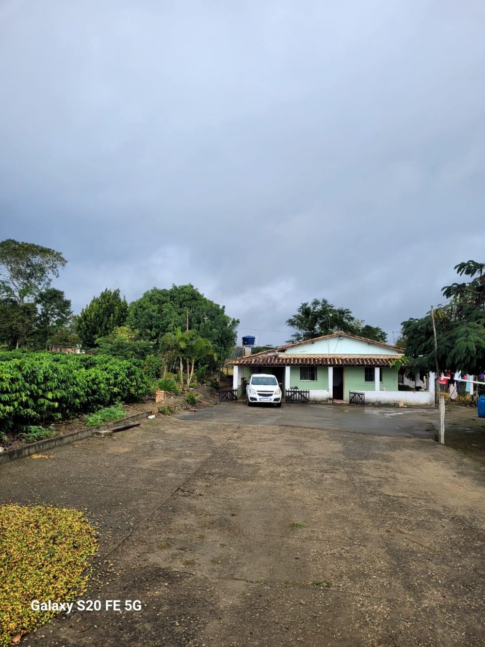 rea - Venda - Cabeceira do Jibia - Vitria da Conquista - BA